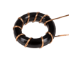 Bobina toroidale